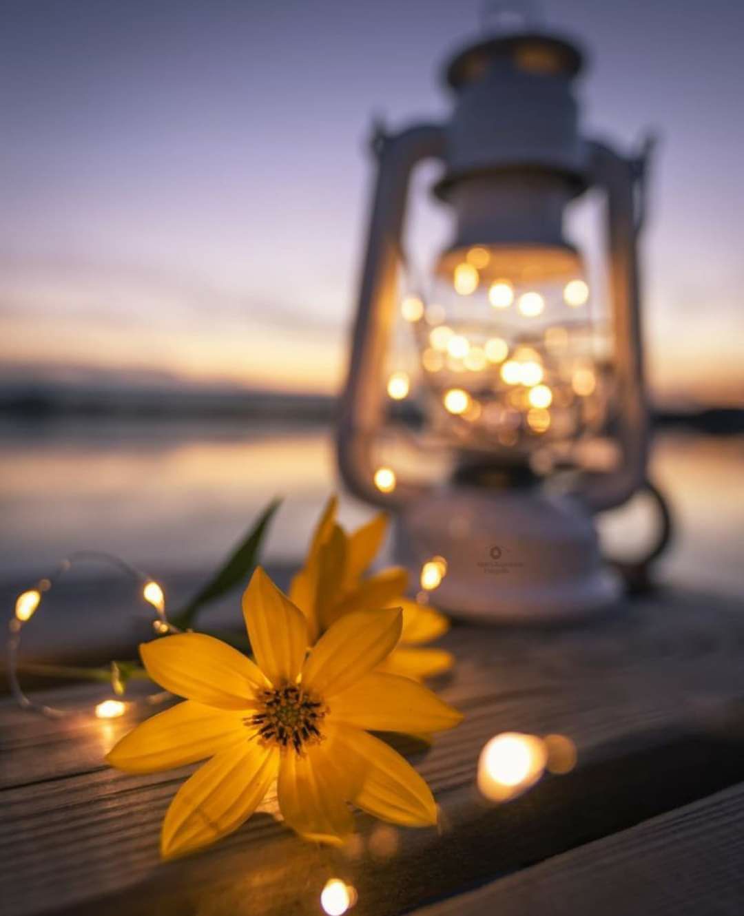 Ảnh chỉ mang tính chất minh hoạ, nhưng bao đẹp và xịn quá ạ, 5 sao
Thời gian giao hàng rất nhanh. Rất đáng tiền. Đóng gói sản phẩm rất đẹp và chắc chắn. Chất lượng sản phẩm tuyệt vời