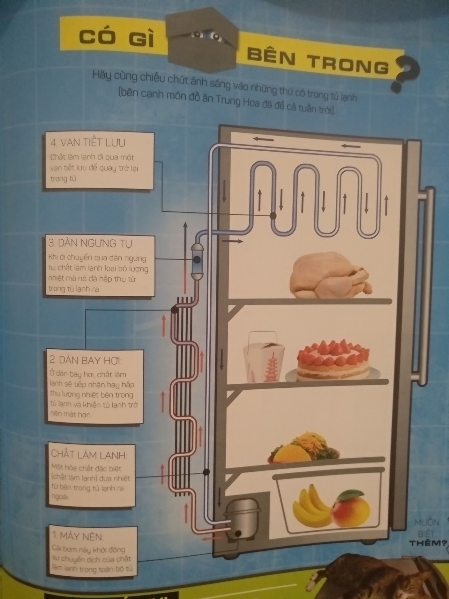 Sách về hình thức OK, về nội dung có một số chỗ dịch liên quan về kỹ thuật (engineering) hình như ko phải chuyên môn dịch giả hay sao ấy, như 2 hình mô tả hoạt động tủ lạnh trên dịch chú thích mâu thuẫn nhau.