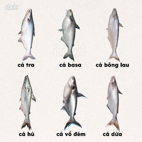 Sách mỏng có 10 tờ giấy mà bán giá này.