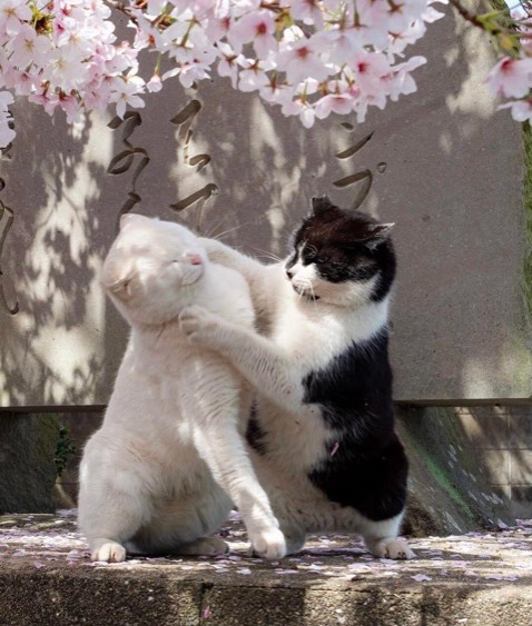 Mực đều nét đẹp bút deli thì k chê được rùi bút bi còn không bị nhoè khi dính nước jjjjjjj