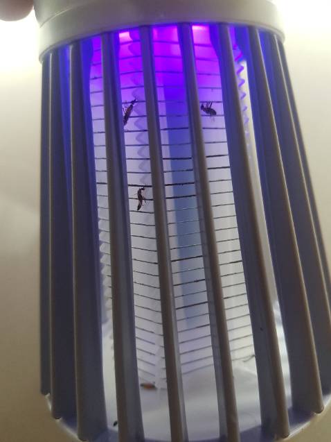 Nhỏ mà hiệu quả nha. A/c/e mua về để gần cửa ra vào hay cửa sổ kín, hoặc khu vực gần ban công.