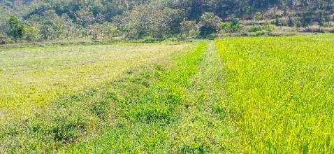 Sách nhỏ gọn, dễ thương