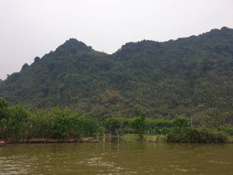 Dùng đẹp nhưng ko biết bao lâu thì ngả qua màu vàng