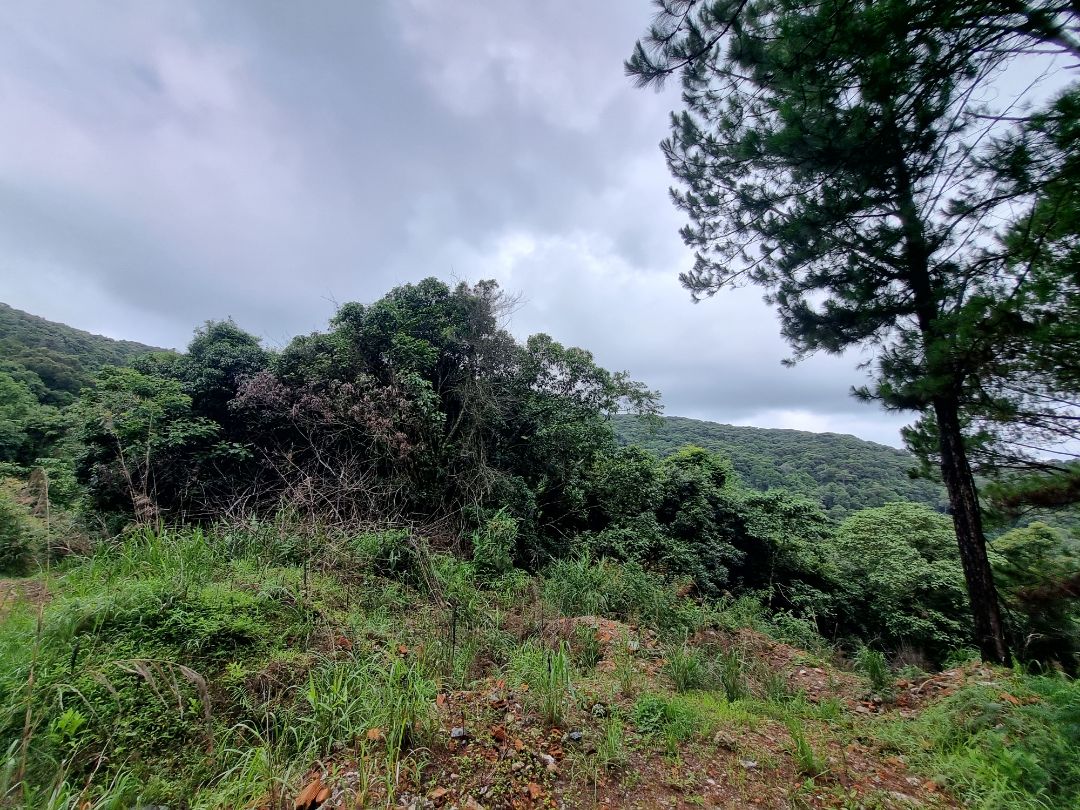 dép đẹp, shop nhiệt tình, cảm ơn shop đã giúp mình đổi lại size vừa với bé