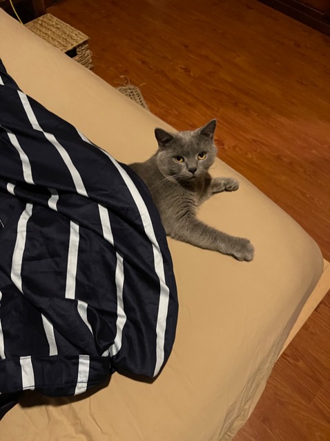 Giao hàng rất nhanh, đóng gói cẩn thận, kỹ càng, hàng chất lượng tốt, giá tương đối tốt, cảm ơn shop nhiều nha.