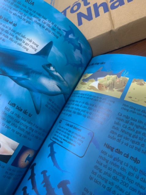 Nội dung hay và bổ ích, hình ảnh thật, sống động, đóng gói cẩn thận và giao hàng sớm ❤️