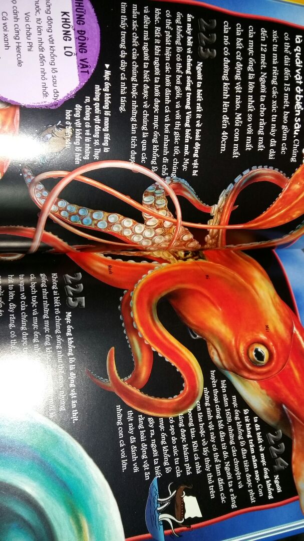 Sách màu bìa cứng, nhiều thông tin thú vị, bọc nilong ngoài nên bên trong vẫn sạch