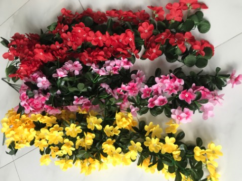 Hoa khá ổn, màu sắc đẹp. Tuy nhiên thi thoảng vẫn có bông rơi ra cành