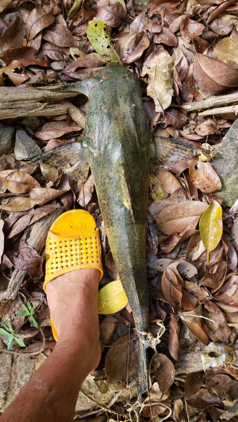 Sản phẩm đúng với ảnh , không bị gì .Nói chung ok