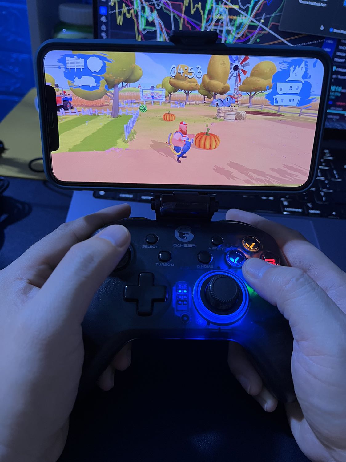 Đáng mua đó quí zị ạ