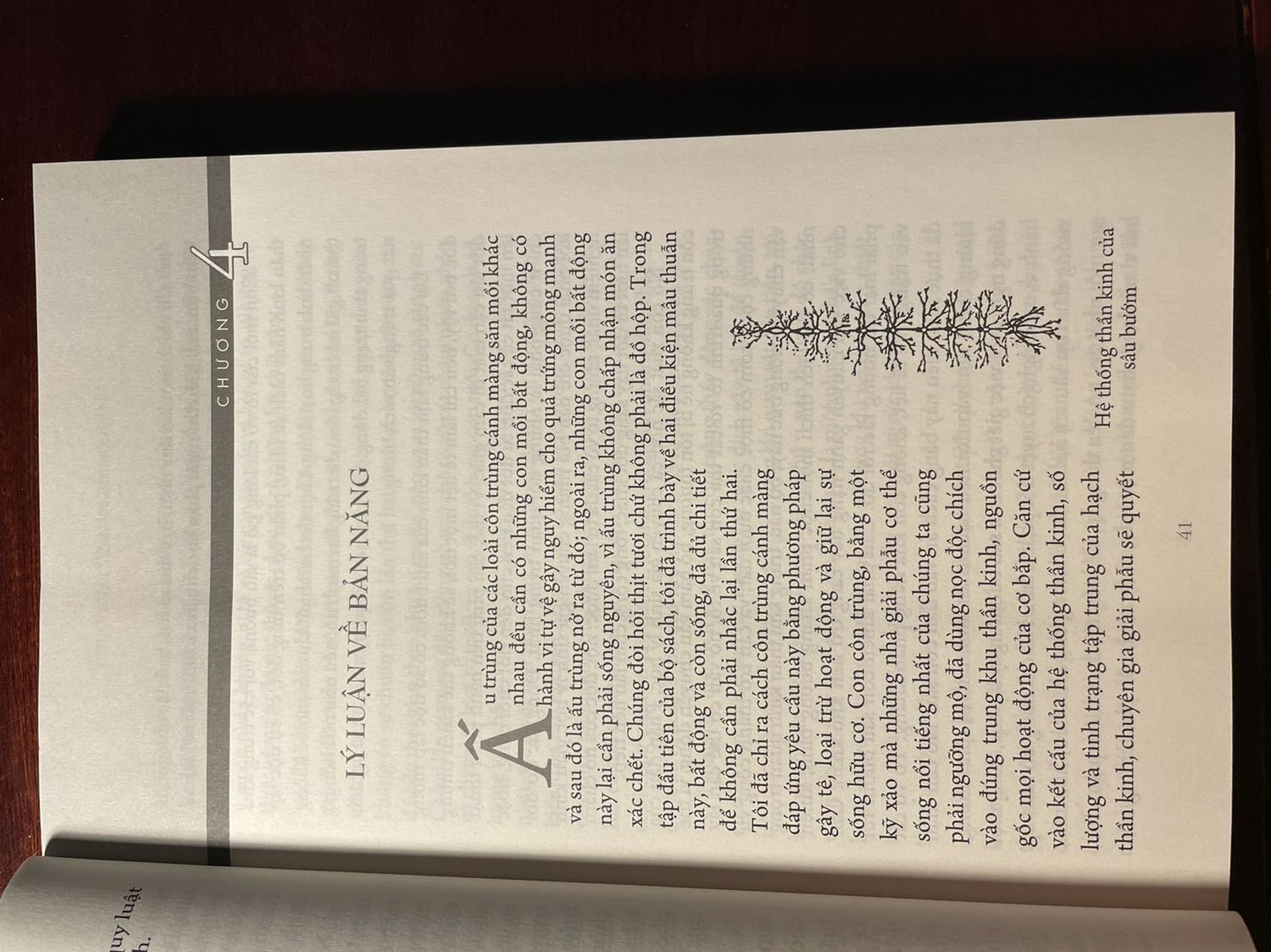 Sách hay, munh hoạ đẹp.
Tuy nhiên phù hợp với tẻ 9, 10 tuổi trở lên do dài.