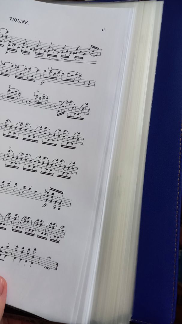 Giao hành nhanh hơn dự kiến, bọc bảo vệ chắc. Sản phẩm dày, đựng nhiều trang  nên khá nặng. Tôi rất hài lòng cả sản phẩm và người giao hàng.