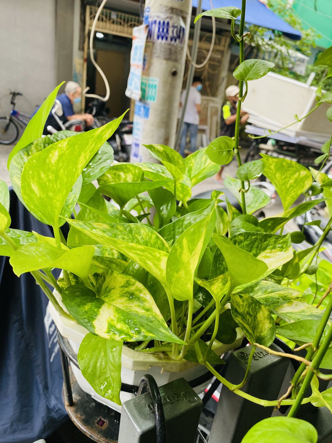 Tã chính hãng mặc thoải mái lắm Tã chính hãng mặc thoải mái lắm