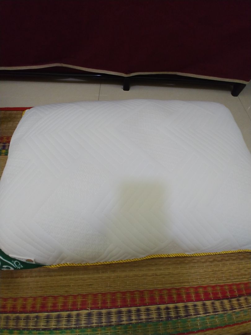 gối êm mềm, phù hợp với người nằm gối thấp. đóng gói trong túi nhựa sạch sẽ, gọn, giá hơi cao.