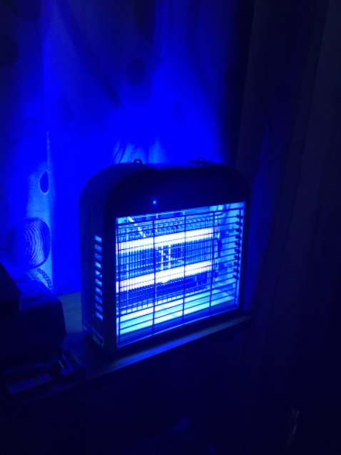 Tôi vẫn chưa thấy xác con muỗi hay con gì hết! Nhưng nhìn chung đèn vẫn đang hoạt động tốt,