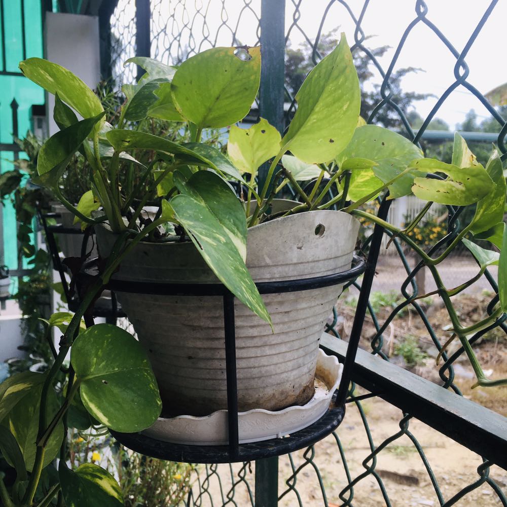 Ship cao quá ạ! Ship hơn 50k, chọn thử 2 set mà ship gần 100k, có cách nào giảm phí ship lại k ạ