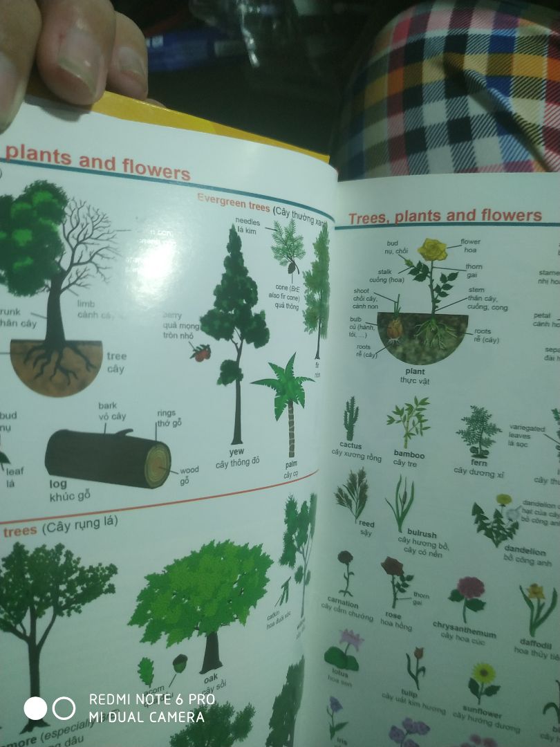 Dày, cực kỳ dày và nặng. Vừa học vừa tập tạ cũng được nữa. Có hộp cover chống ố sách. Mùi giấy thơm. Đầu từ điển có phụ lục các động từ bất quy tắc, từ điển theo hình ảnh,... rất bổ ích.