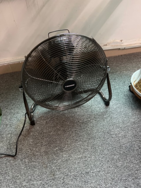 Sao ko gởi hoá đơn như đã y/c từ lúc order vậy?