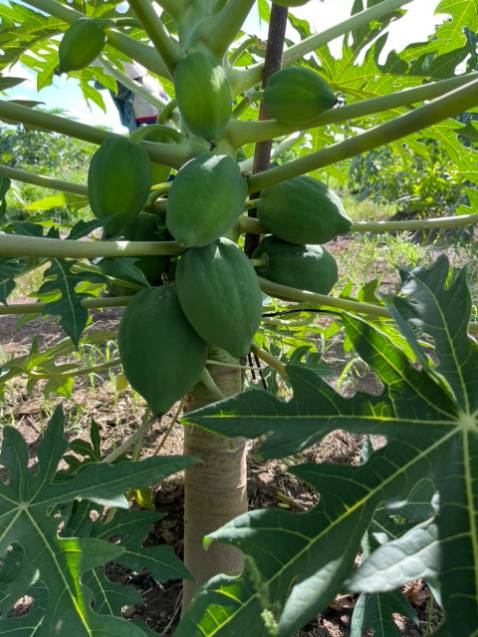 Rất hài lòng với sản phẩm.lấy hình đăng đại.hi