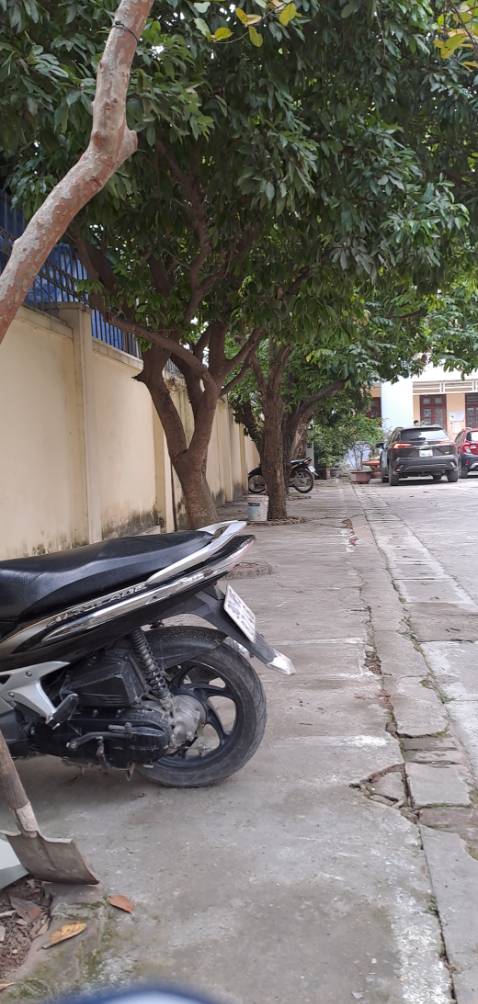 Một cách tiếp cận hoàn toàn mới. Từ ý nghĩa tôn giáo, đến con người, thời trang....