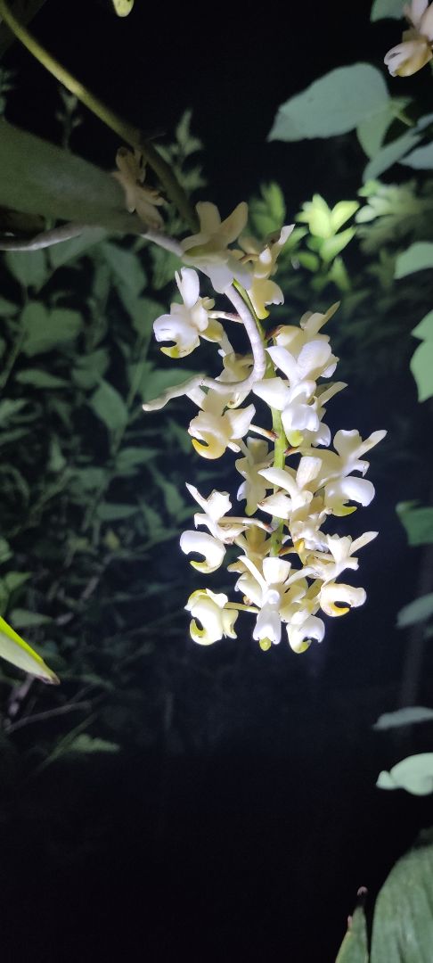 sản phẩm rất tốt, nên mua, 2 người gần 160kg leo lên bình thường