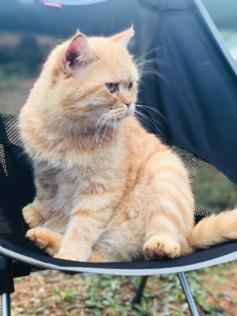 Sản phẩm chất lượng, có thể tháo lắp dễ dàng, tập được nhiều bài Sản phẩm chất lượng, có thể tháo lắp dễ dàng, tập được nhiều bài