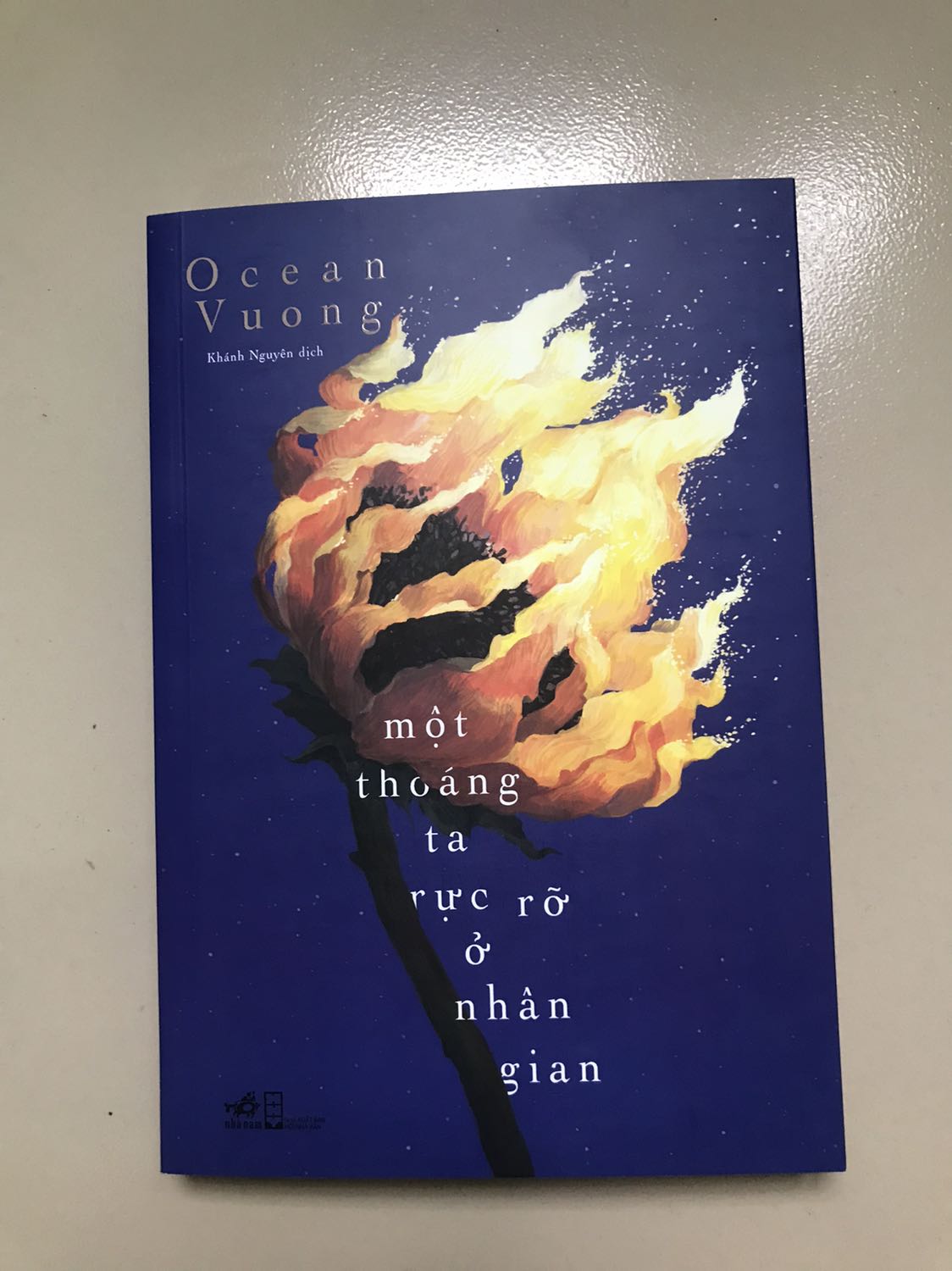 Ảnh đánh giá
