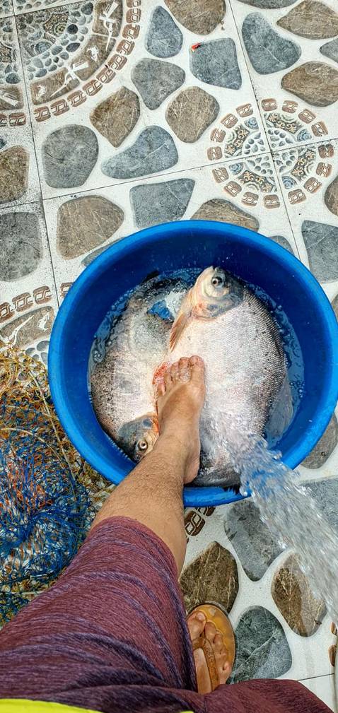 Giao hàng nhanh hình ảnh không liên quan tới sản phẩm nha ạ