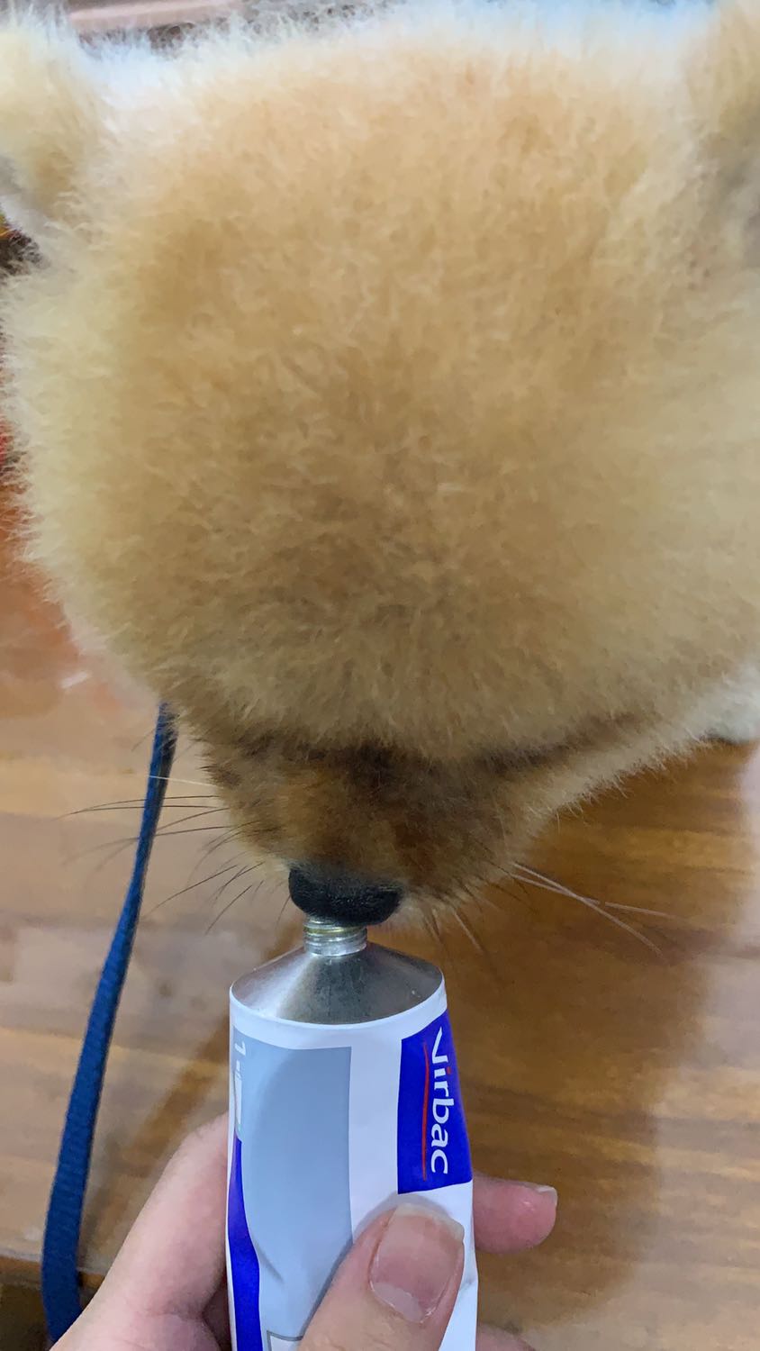 Bé nhà mình thích ăn. Giá okay, giao hàng nhanh! Bé nhà mình thích ăn. Giá okay, giao hàng nhanh!