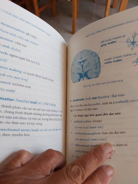 Sách in đẹp, cho những mới bắt nên lượng từ cơ bản. Y họ phát triển nhang, lượng thuật ngữ mới tăng theo.