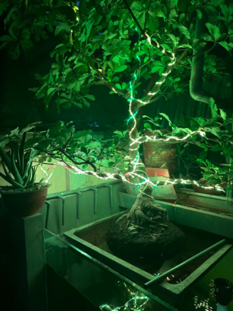 Dùng được 12 ngày thì bị như này, mỗi ngày bật 3 tiếng ae cân nhắc khi dùng sản phẩm này, rất dễ bị lỗi