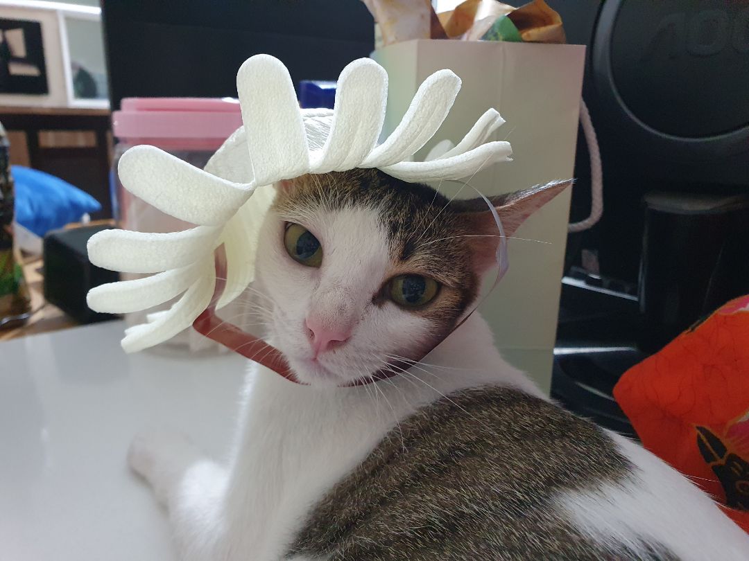 Mua Tiki hay có mã giảm giá 50k. Mua shop nhiều lần, đóng gói tốt, hsd còn dài.