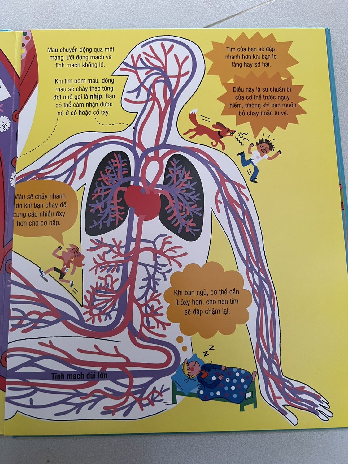 Sách rất hay và bổ ích. Hình minh hoạ sinh động, dễ hiểu. Đọc cùng con rất thú vị, trả lời được khối câu hỏi 'vì sao' của con bấy lâu nay!