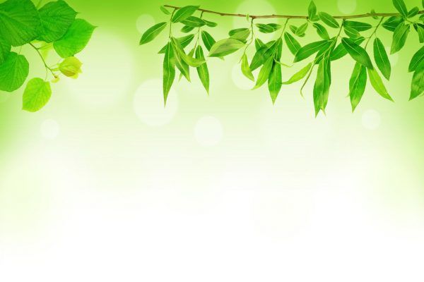 Góc Phốt 
mình mua sách khá lâu nhưng ít khi mình đánh giá ( do mình lười :D).Nhưng hôm nay lại khác
Fahasa nghĩ thế nào mà sách được gói kĩ ,  có đồ chống sốc , giao hàng nhanh dù dịch COVID19.Biết thích lắm không:))
Giá sách khá là rẻ , còn có mã giảm giá nữa :))) Fahasa thật biết cách đầu độc người mua bằng sự chuyên tâm và dịch vụ tốt :)))))
Fahasa là một nhà sách mình cực kỳ thích nhưng qua sự việc trên mình càng thích hơn, bắt đền :)))
vì vậy mình sẽ phạt Fahasa bằng cách mua và ủng hộ tiếp :>