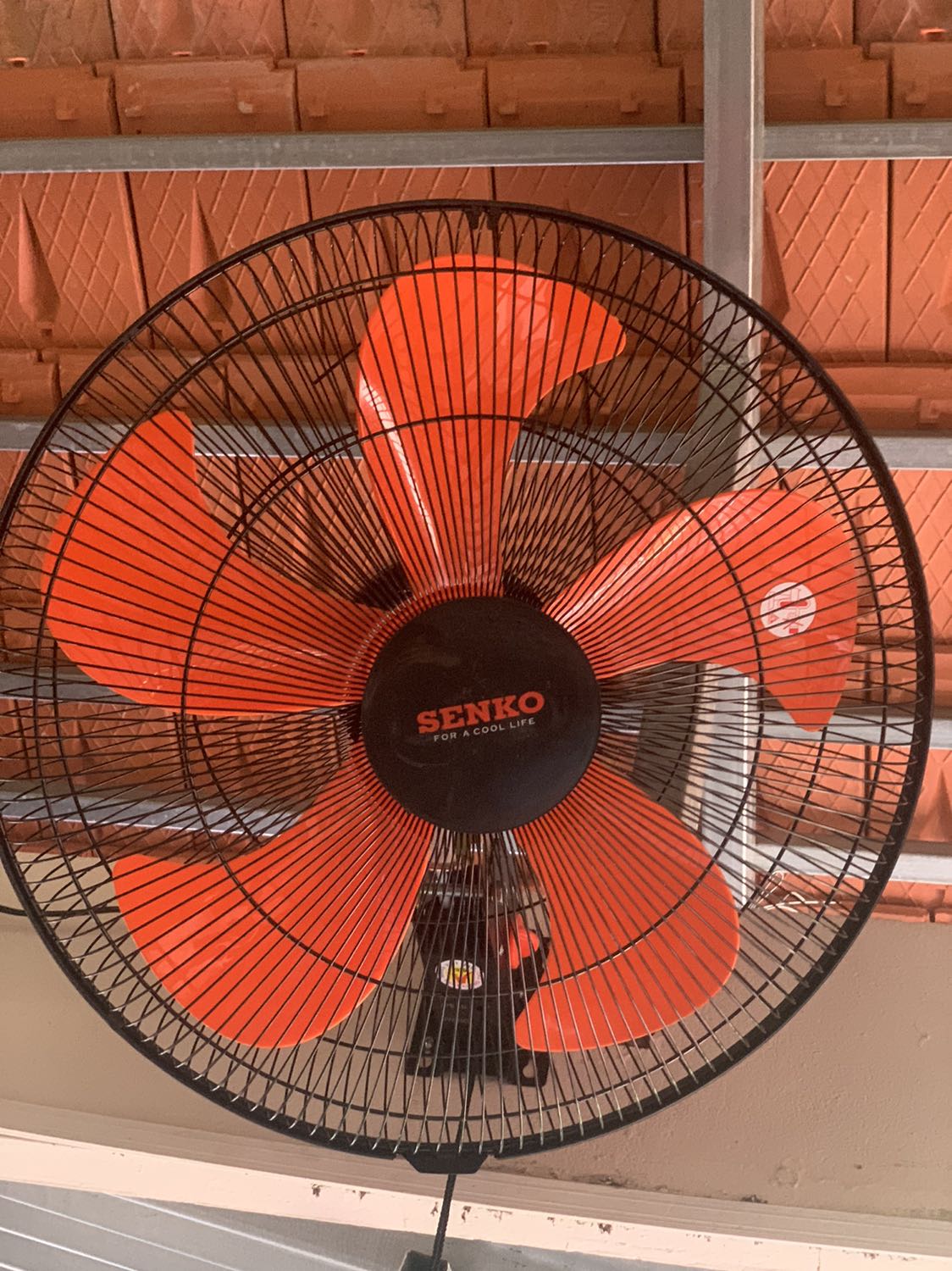 Cái cánh quạt không giống như hình Cái cánh quạt không giống như hình