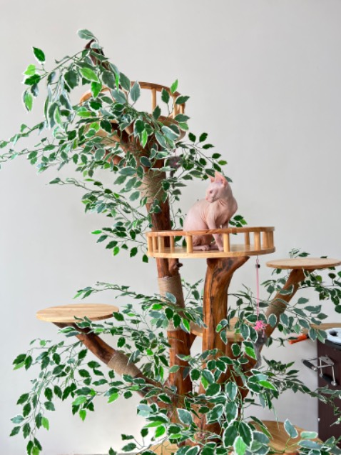 Sản phẩm chất lượng, không gặp vấn đề nào, sẽ ủng hộ thêm sản phẩm của shop