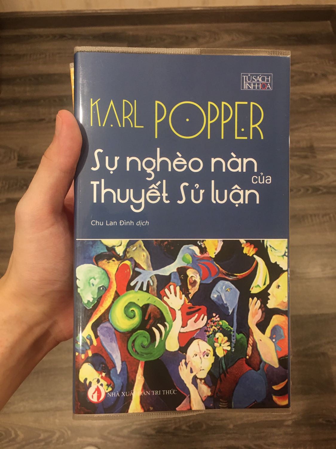 Sách dịch ổn nhưng mà cần phải ham thích triết học, có chút trải nghiệm tích cực với kiến thức triết học rồi thì mới nên tìm đọc.
Cầu kỳ hơn nữa lại là ham thích một chủ đề oái oăm nhất của triết đó là triết học lịch sử.