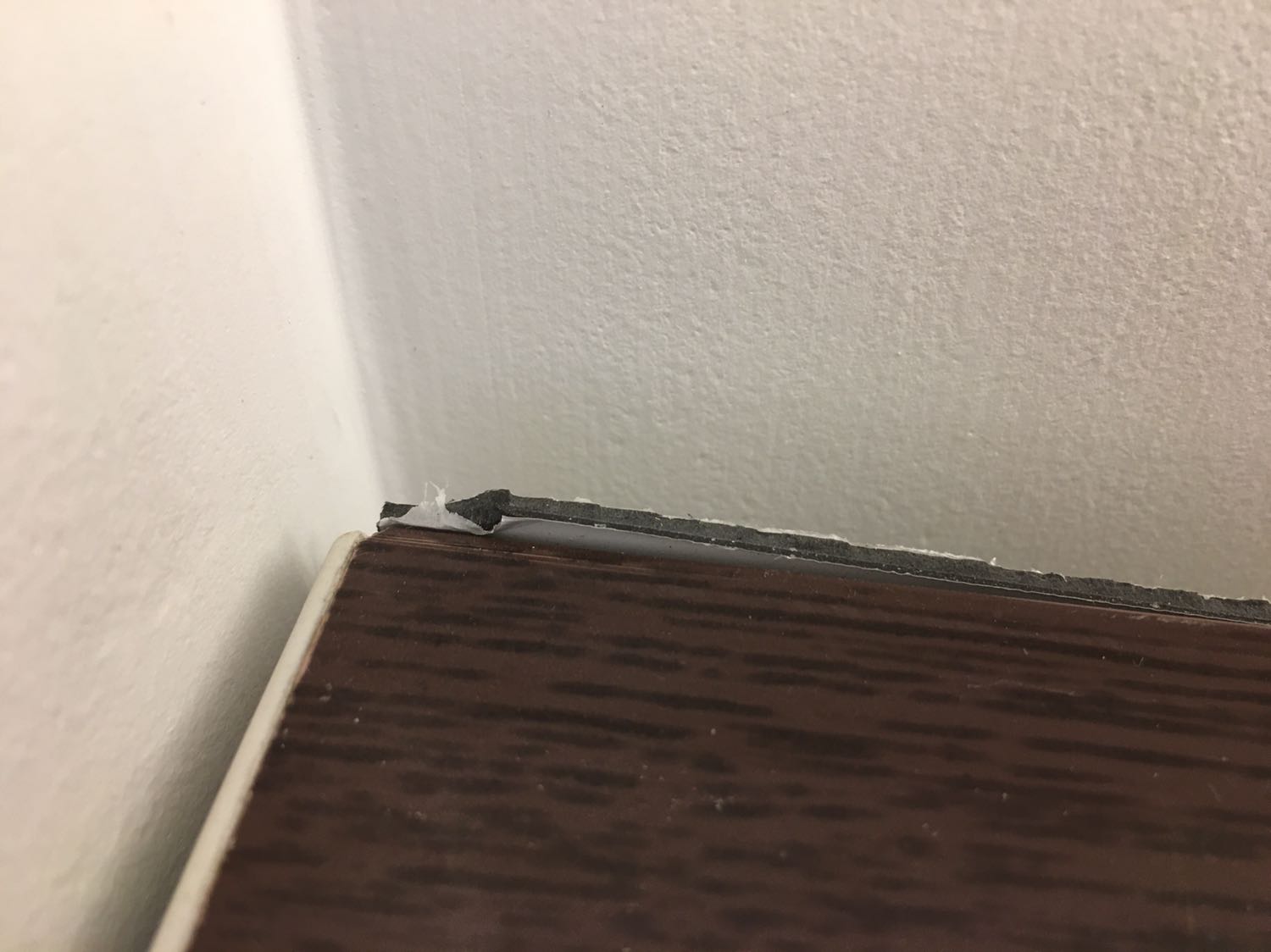 Dẫu biết rằng tiền nào của ấy nhưng với 1350k để mua 1 cái tủ giày như loại này thì quá thất vọng. 
Lắp ghép cẩu thả, nhựa cắt thừa thiếu lung tung.
Vít gắn xiên vẹo nên rất yếu ớt. Nhựa thì mỏng manh nên không thể là của Đài Loan.
Học nhỏ, không để giày người lớn được.
Sau 3 ngày cho con gái xài thì nó đã bung nắp.
Shop làm ơn đổi trả hoặc bảo hành để khách hàng còn tin tưởng.