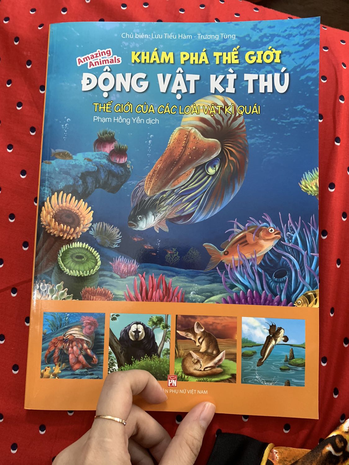 In đẹp
Tốt
Nội dung ok