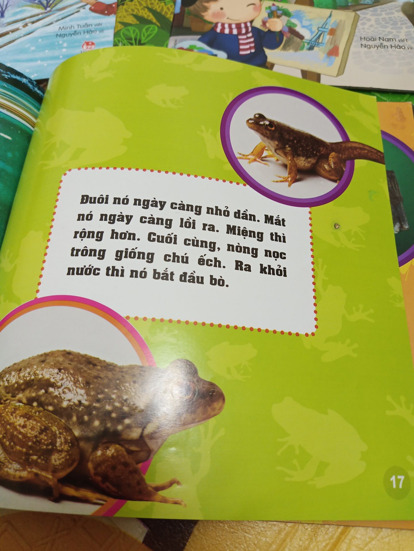 Sách rất hay, mình đọc còn thấy thú vị, bạn nhỏ nhà mình thích lắm. hình ảnh đẹp, sắc nét. Giao hàng nhanh.