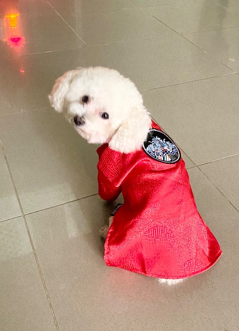 Tiện lợi vị ổn, giao hàng nhanh, đóng gói kỹ lưỡng,