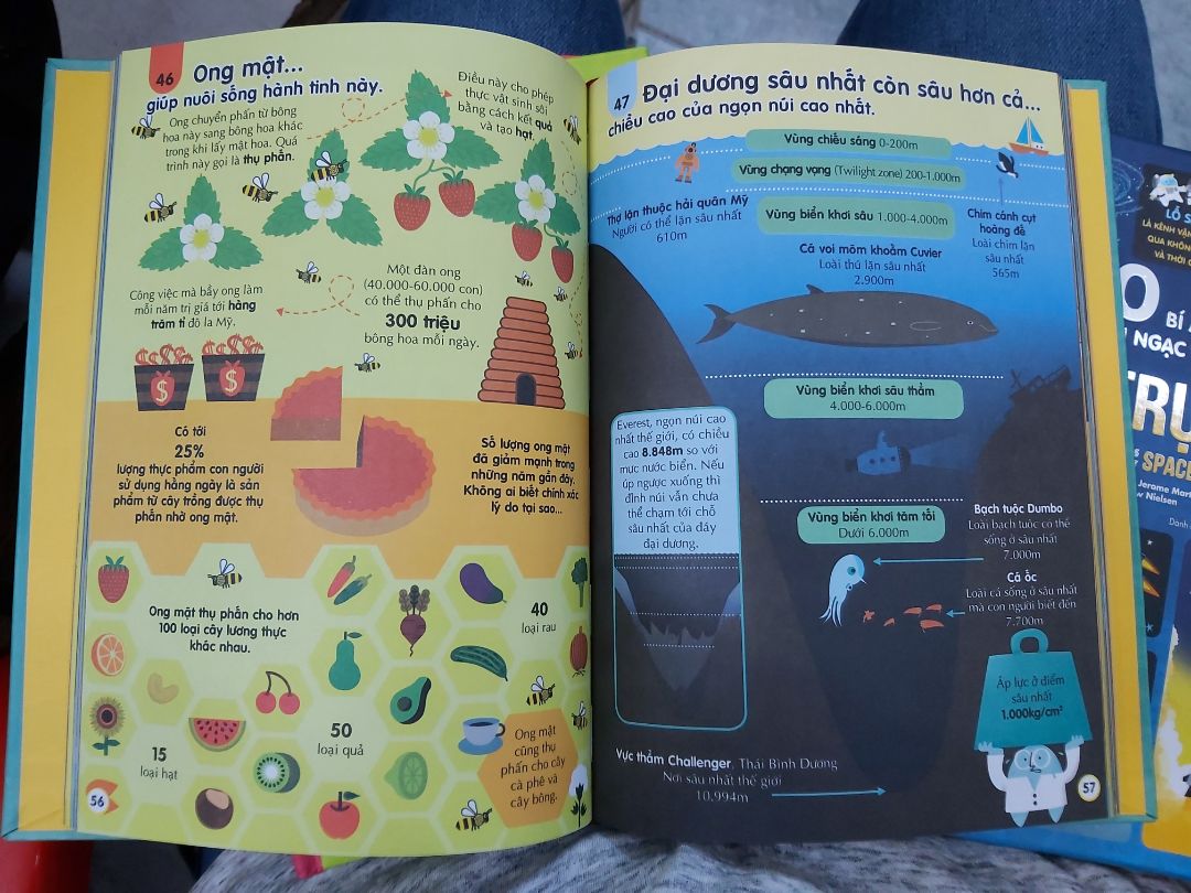 Lúc mua tiki giao nhầm nhưng được đổi trả nhanh như chớp, bộ phận chăm sóc khách hàng làm việc nhanh lẹ, quy trình không hề rườm rà, chấm 10 điểm. Sách đẹp, bìa cứng, nhiều kiến thức