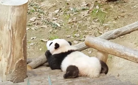 Sản phẩm tốt, mọi thứ đều tuyệt vời