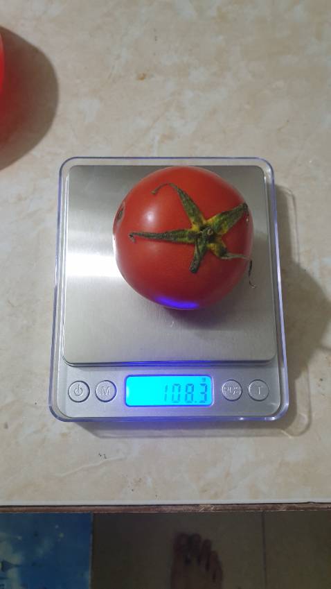 Cân khá oke, còn độ chính xác thì chưa dám tin hoàn toàn 😂 nhưng thôi vẫn cho 5*