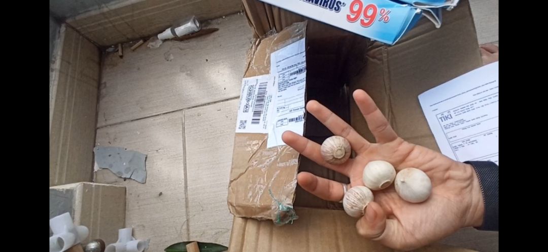 bán hàng mà hộp khẩu trang không còn nguyên vẹn bị bóc mở hộp rách tem chống hàng giả tùm lum mà cũng đem đi đóng hàng giao,đơn hàng mua khẩu trang mà sao có củ tỏi cô đơn trong này,shop làm ăn kiểu gì vậy mà cũng lên tiki bán hàng vậy à