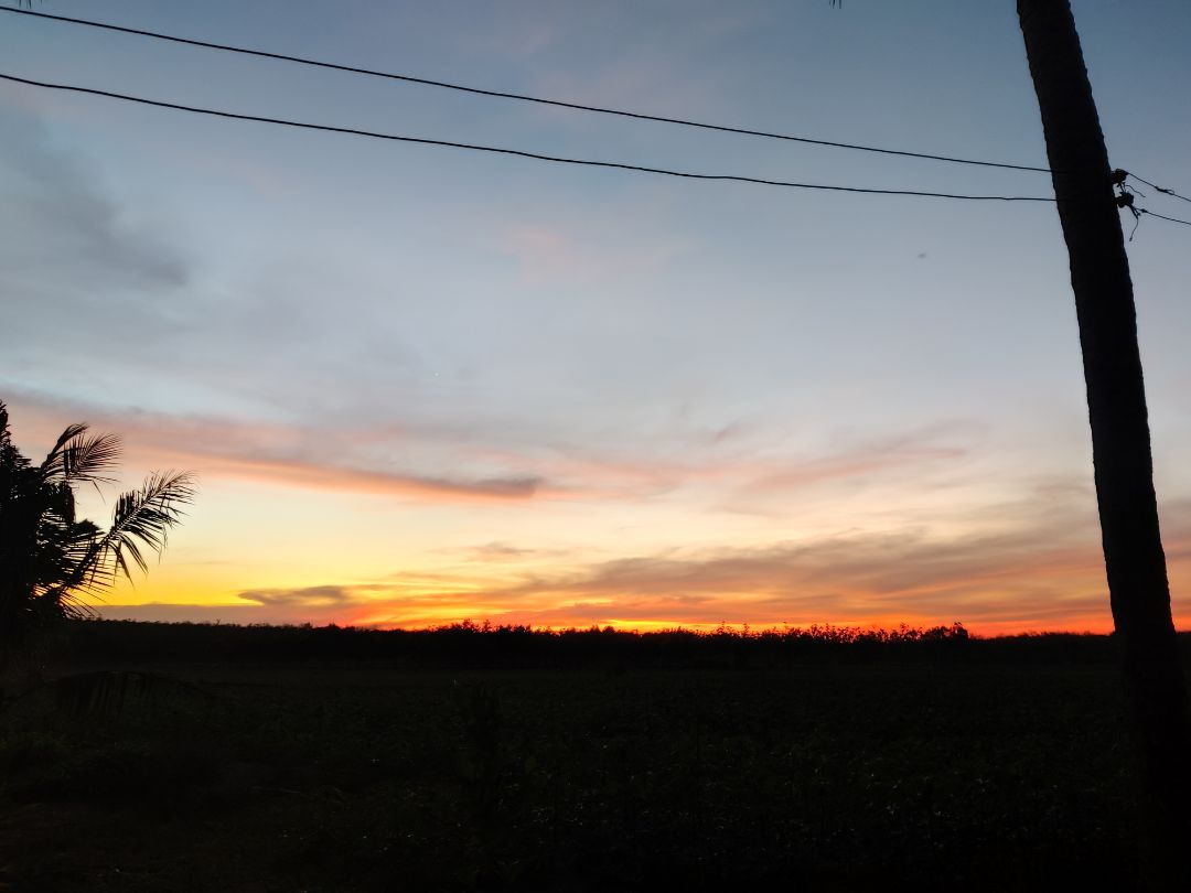 giày nhẹ, bám tốt