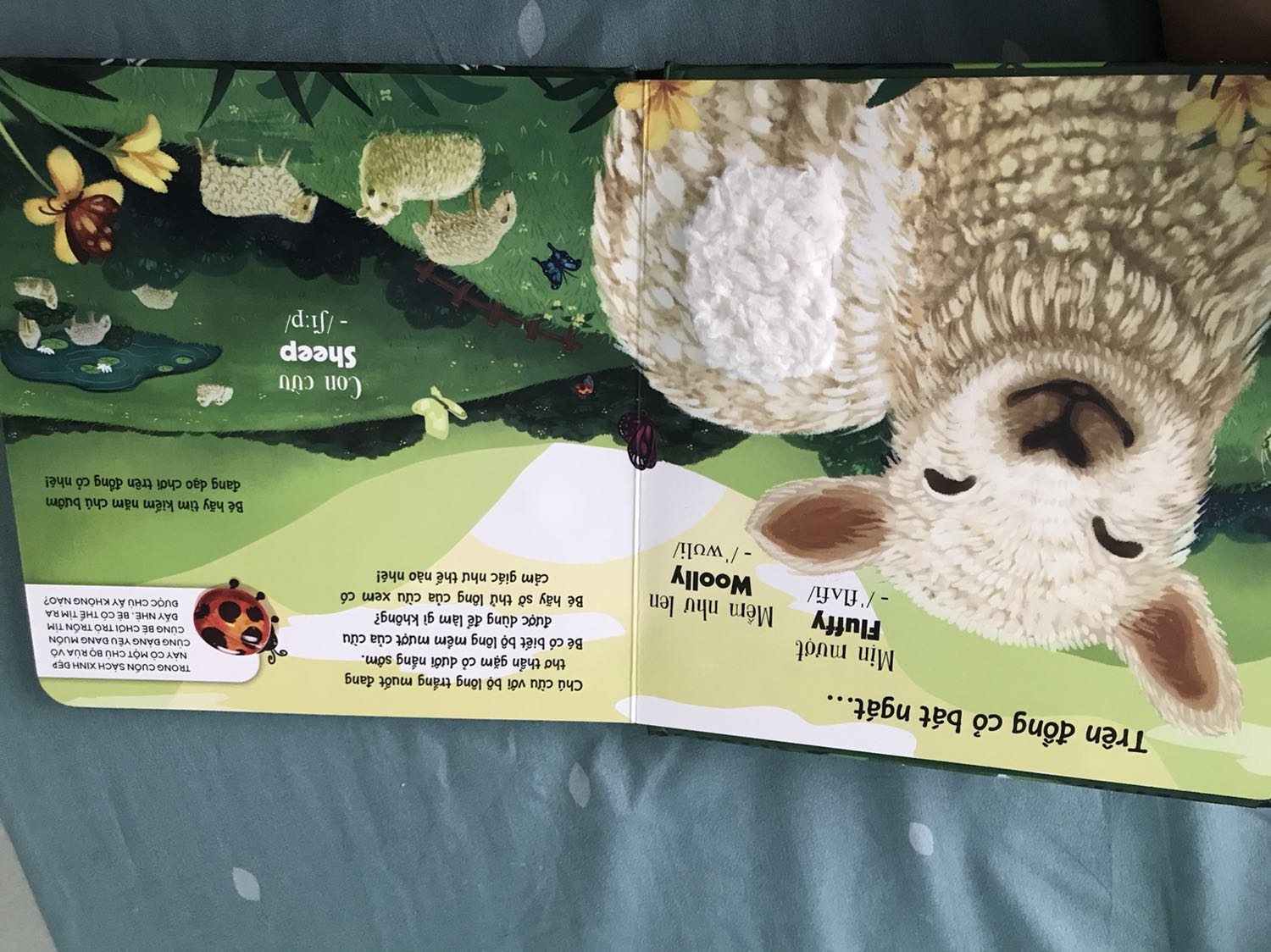 Sách khá dày dặn, màu cũng rất đẹp, kích thích khả năng xúc giác của trẻ. Tuy nhiên sách khá ít trang, vì chất liệu tốt nên giá thành hơi cao, nội dung trong ảnh ko dc đa dạng lắm nên trẻ đọc nhanh chán