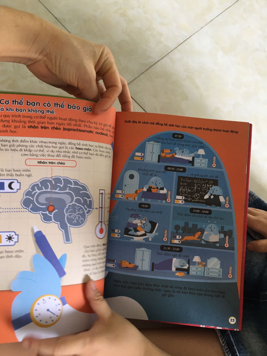 Quá tuyệt khi mua sách ở Tiki! Hàng giao thùng còn nguyên vẹn đẹp quá còn không muôn bóc! Sách được bọc cẩn thận cả túi bóng nha mọi người! Chất lượng giấy rất đẹp!  Nội dung hấp dẫn bắt mắt cho cả người lớn và bé! Bìa cứng nha! Nói chung sách của nxb Đinh Tị là ưng lắm nè!