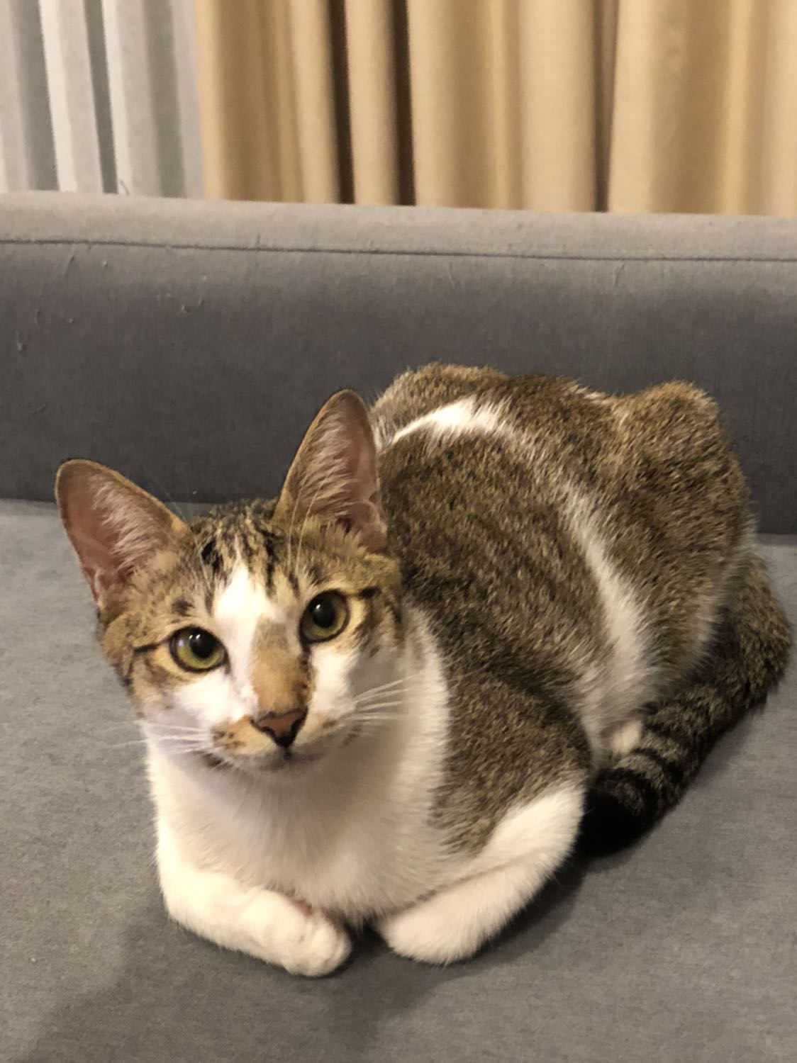 Tặng bạn, hợp lí