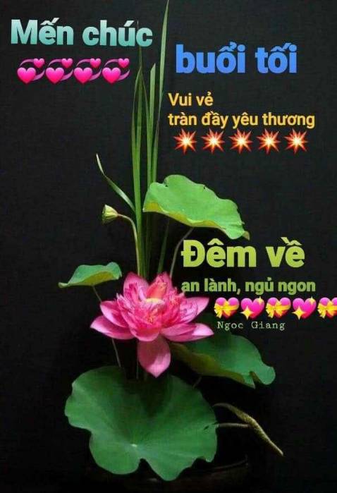 Sp như quảng cáo, hy vọng dùng tốt sẽ mua lai